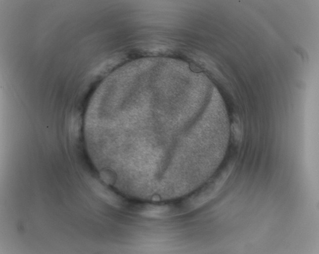 X0000113630458200910162019