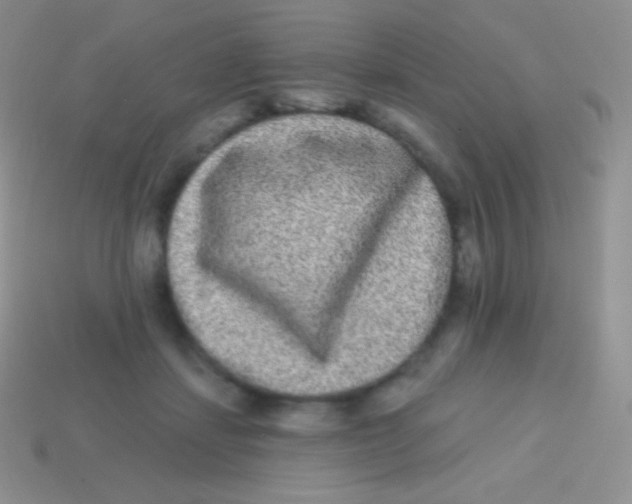 X0000113630459200910162019