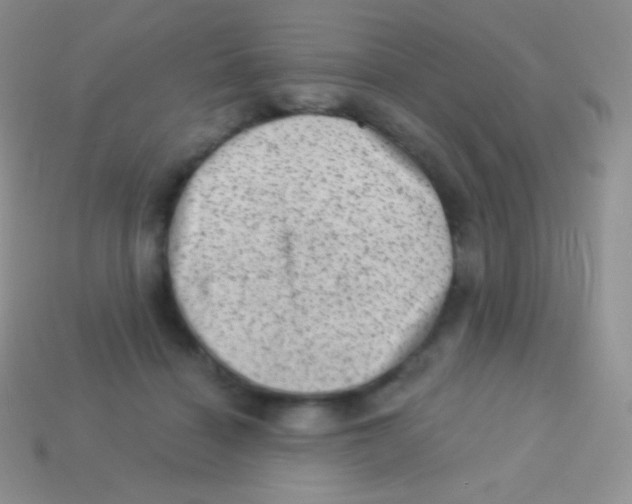 X0000113630460200910162019