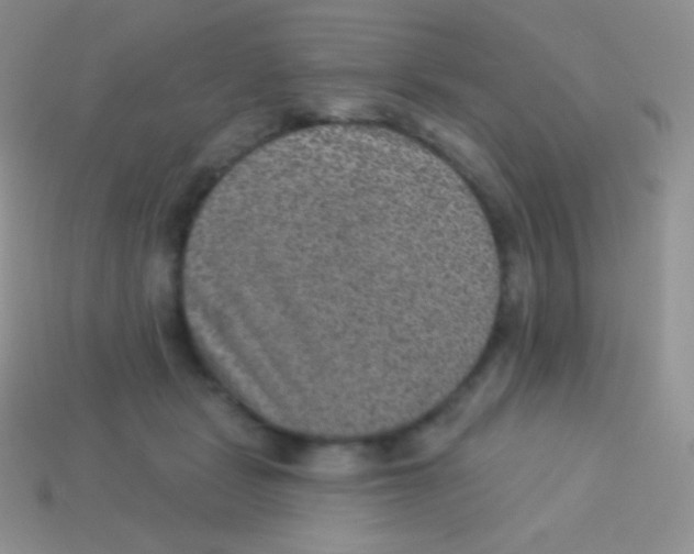 X0000113630461200910162019