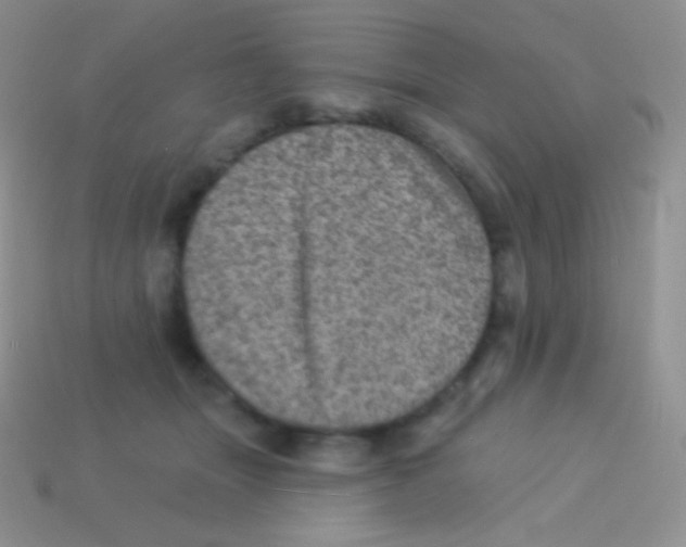 X0000113630463200910162019