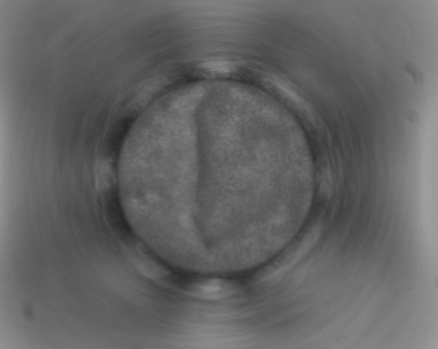 X0000113630467200910162020