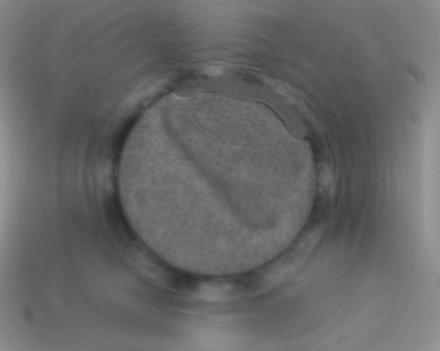 X0000113630470200910162020