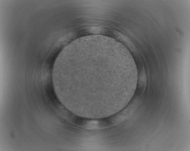 X0000113630473200910162020