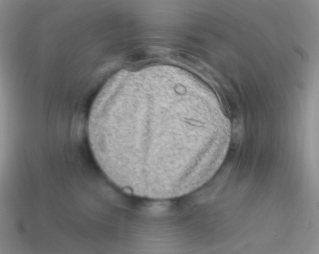 X0000113630474200910162020