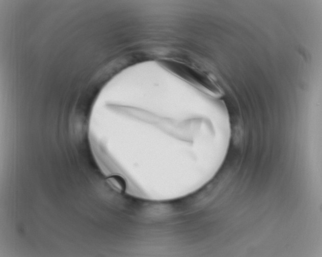 X0000113630476200910162020