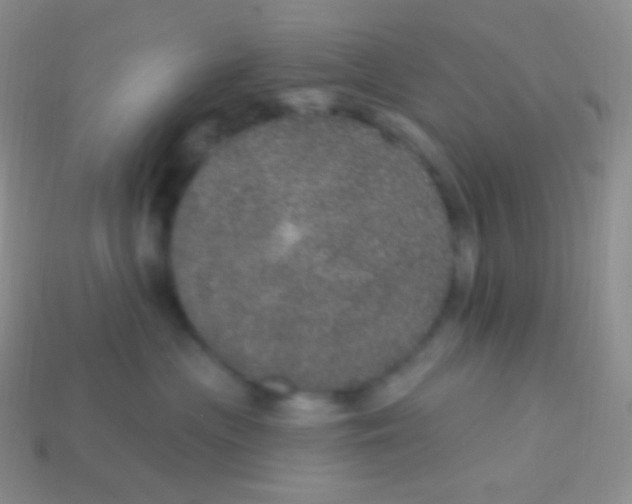 X0000113630477200910162020