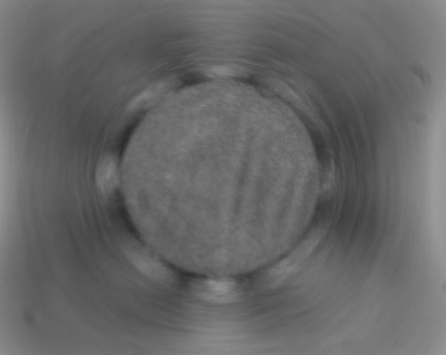 X0000113630478200910162020