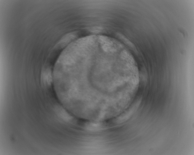 X0000113630479200910162020