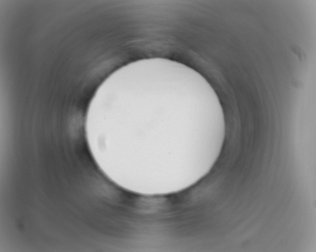 X0000113630480200910162020