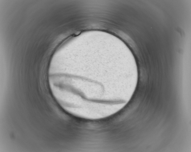 X0000113630481200910162019