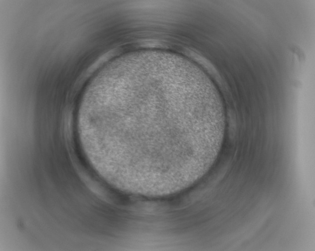 X0000113630482200910162019