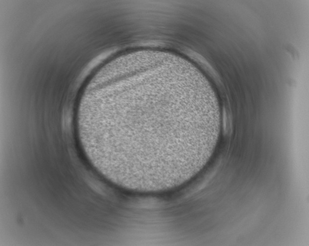 X0000113630483200910162019