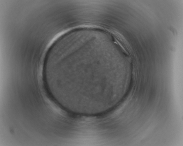 X0000113630484200910162019