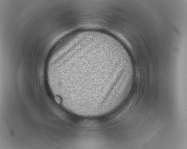 X0000113630487200910162019