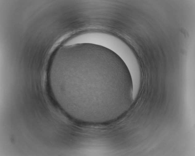 X0000113630488200910162019