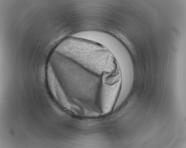 X0000113630489200910162019