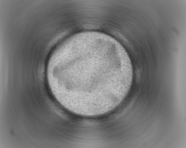 X0000113630490200910162019