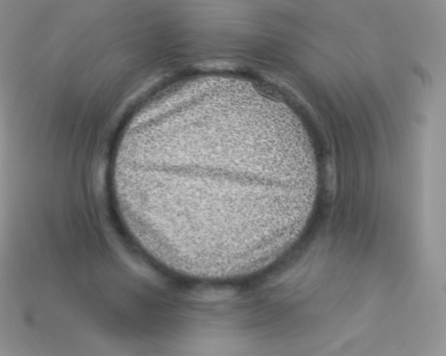 X0000113630491200910162019