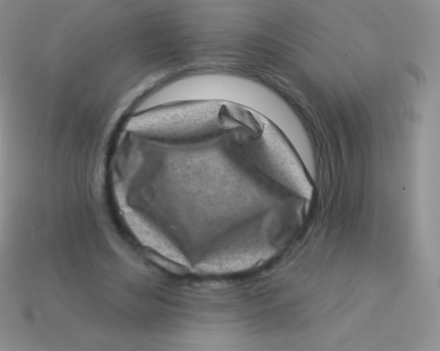 X0000113630492200910162019