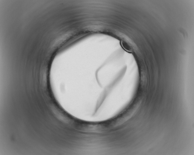 X0000113630493200910162019