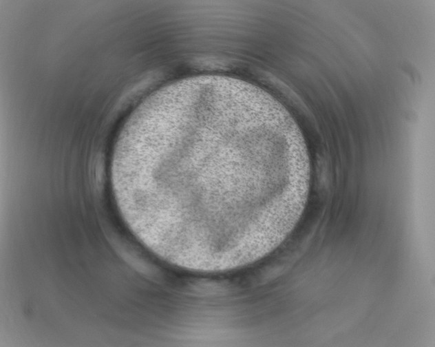 X0000113630494200910162019