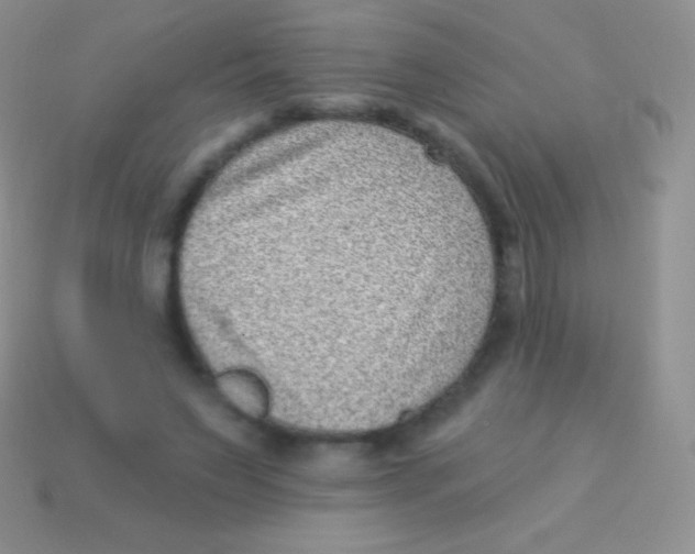 X0000113630495200910162019