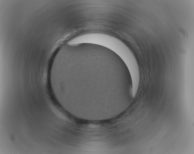 X0000113630496200910162019