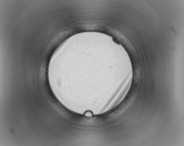 X0000113630497200910162019