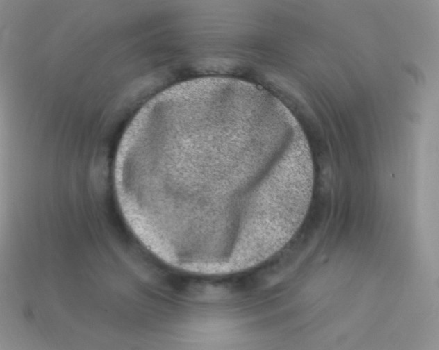 X0000113630498200910162019