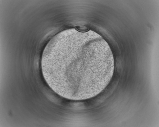 X0000113630501200910162019