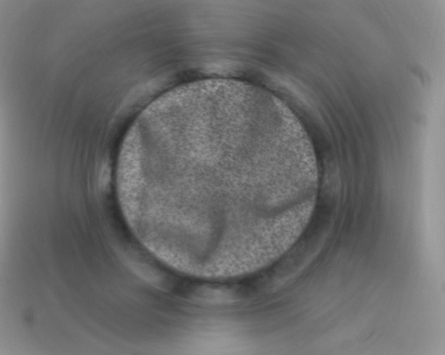 X0000113630502200910162019