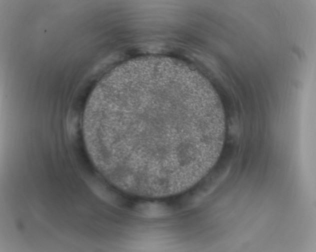 X0000113630503200910162019