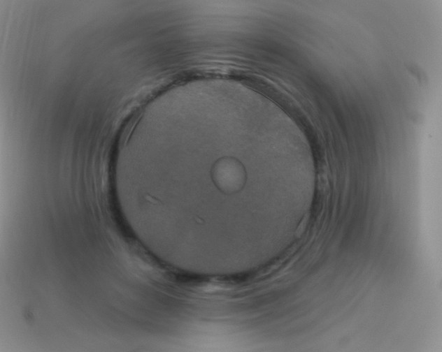 X0000113630504200910162019