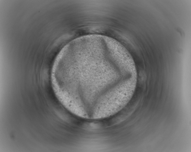 X0000113630506200910162019