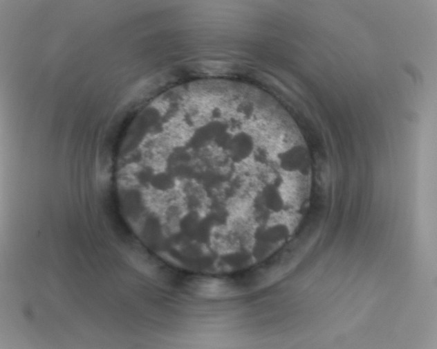 X0000113630507200910162019