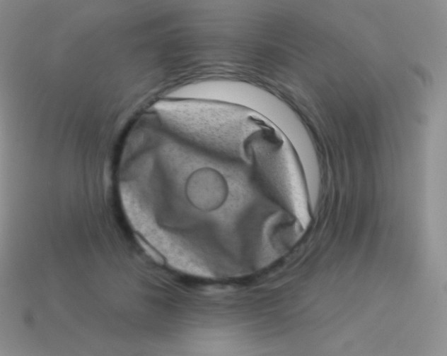 X0000113630508200910162019