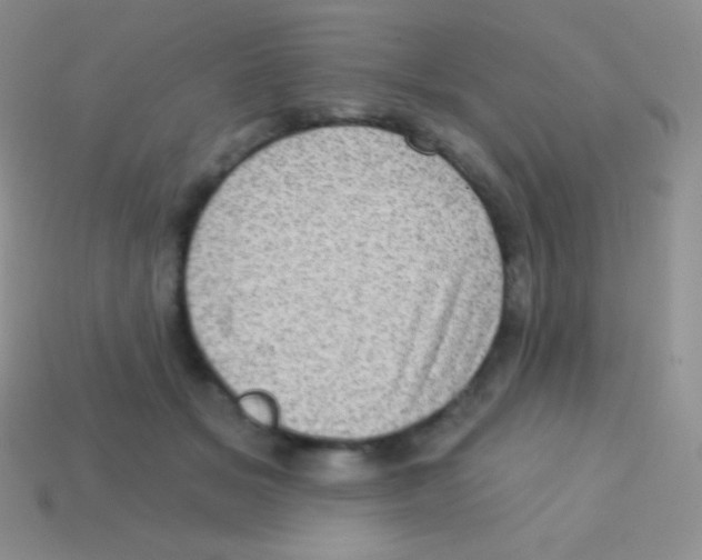 X0000113630509200910162019