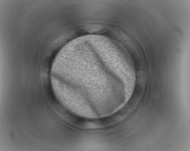 X0000113630510200910162019