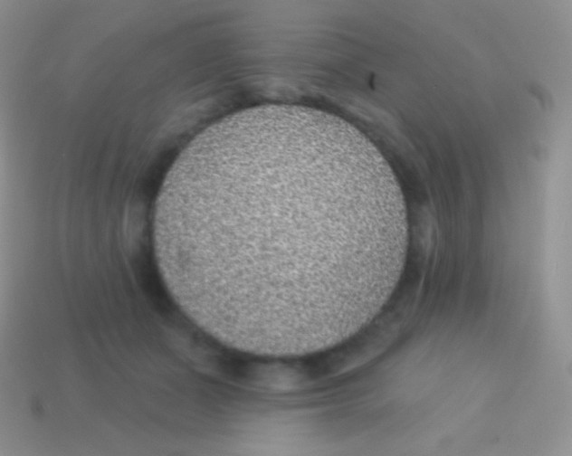 X0000113630511200910162019