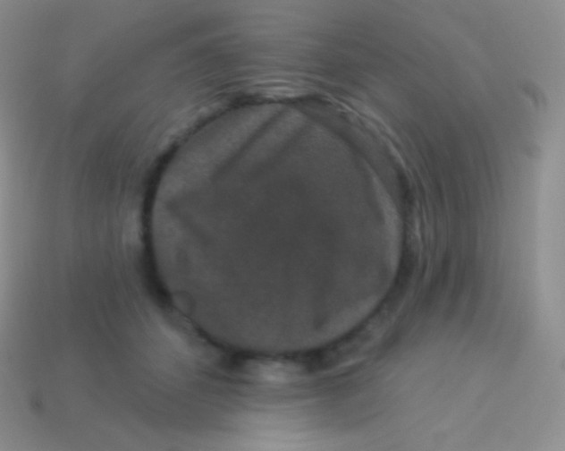 X0000113630512200910162019