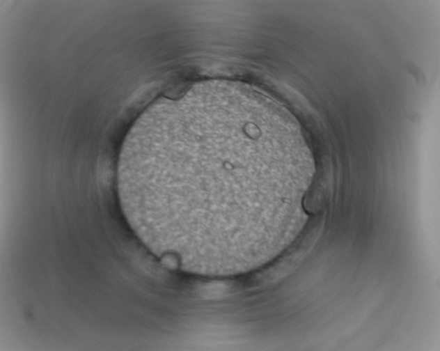 X0000113630513200910162019