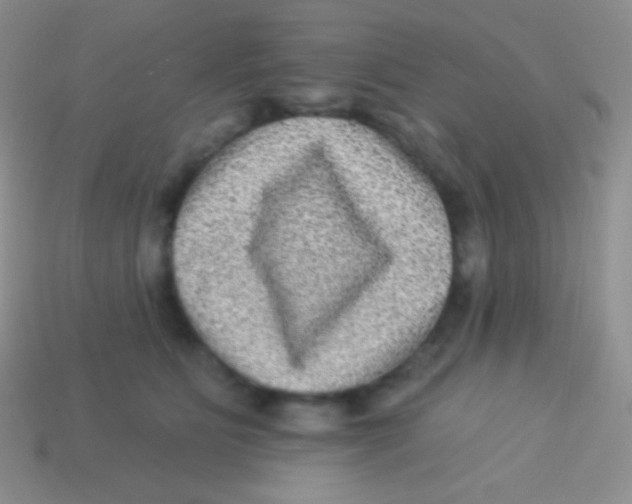 X0000113630515200910162019