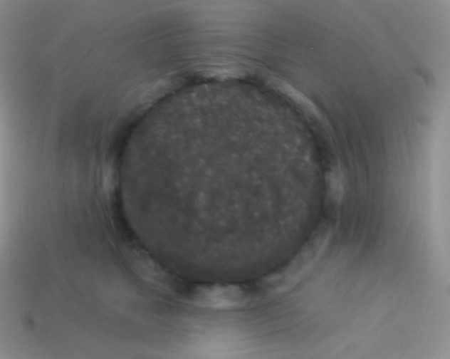 X0000113630517200910162019