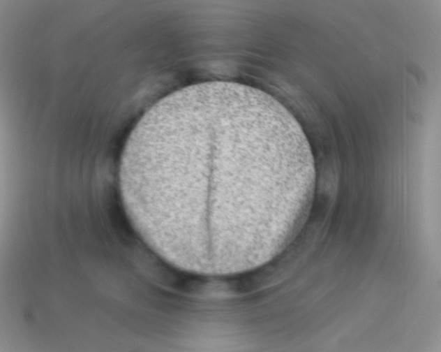 X0000113630518200910162019