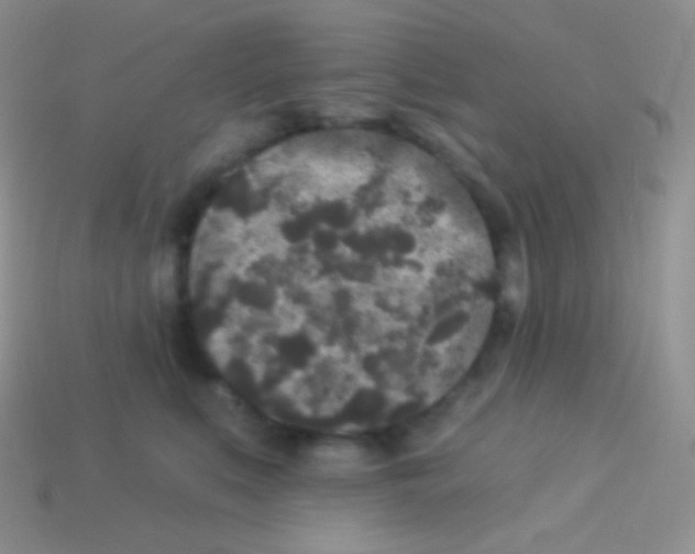 X0000113630519200910162019