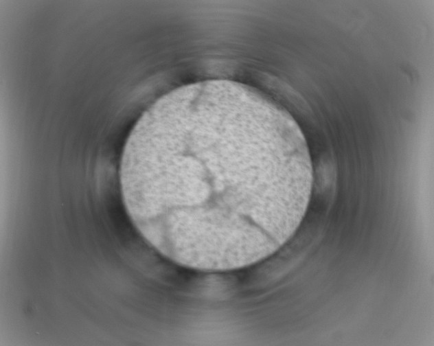 X0000113630522200910162019