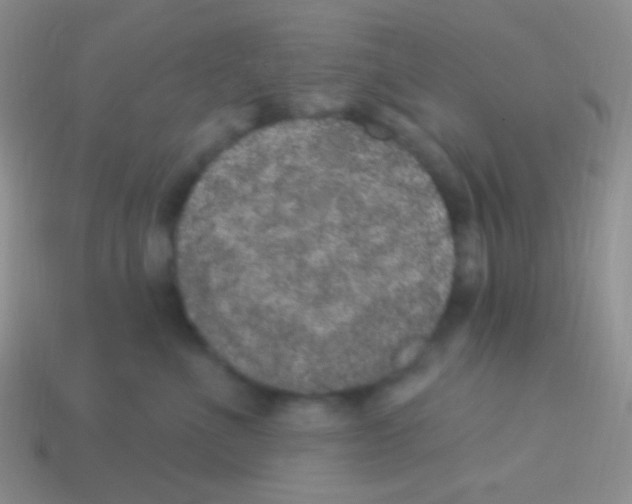 X0000113630523200910162019