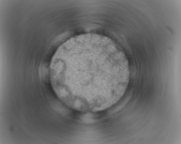 X0000113630527200910162018