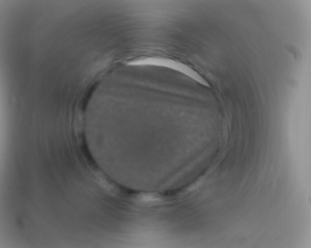 X0000113630528200910162018